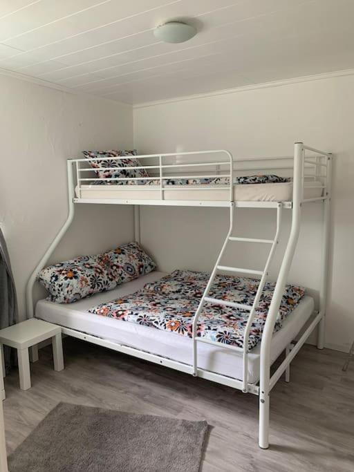 Ferienwohnung Bergblick Winterberg Dış mekan fotoğraf